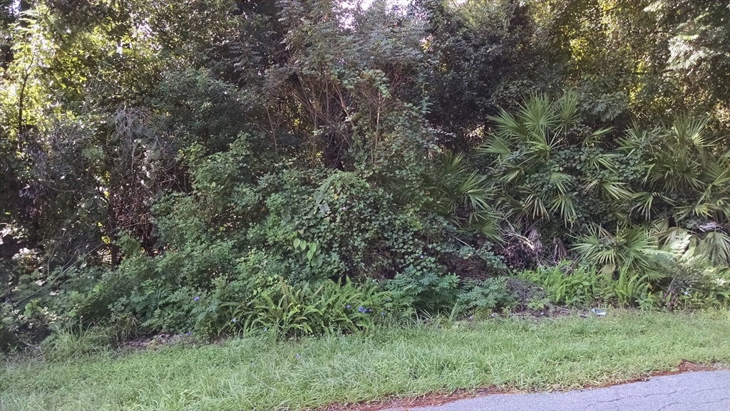 1361 Howland Boulevard, Deltona, Florida, ,Land,For Sale,Howland Boulevard,73507586