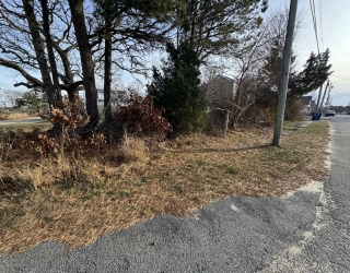 29 Camp St, Wareham, Massachusetts, ,Land,For Sale,Camp St,73507597