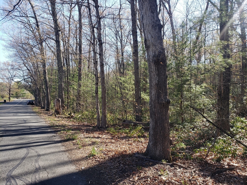 0 Northwest Rd Lot 3, Westfield, Massachusetts, ,Land,For Sale,Northwest Rd Lot 3,73507693