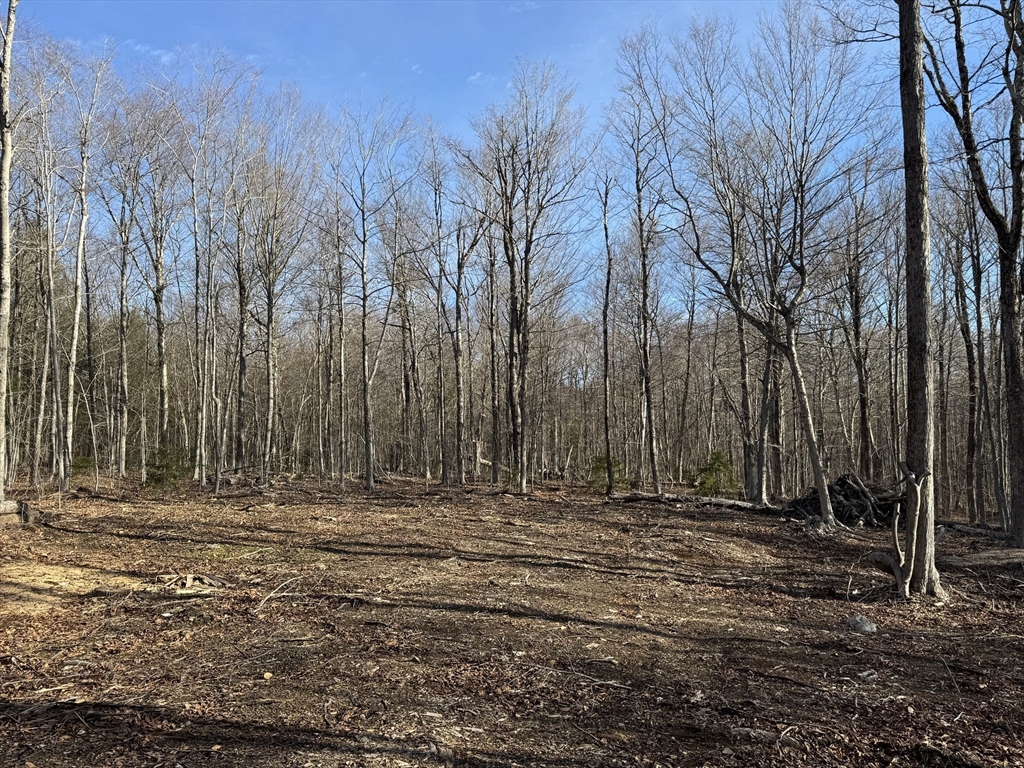 0 Sadoga Road, Heath, Massachusetts, ,Land,For Sale,Sadoga Road,73507720