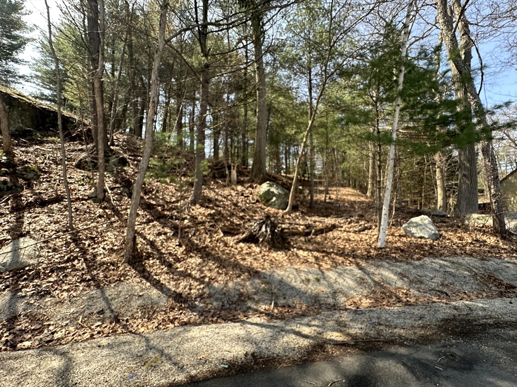 14 Cliff Rd, Saugus, Massachusetts, ,Land,For Sale,Cliff Rd,73507936