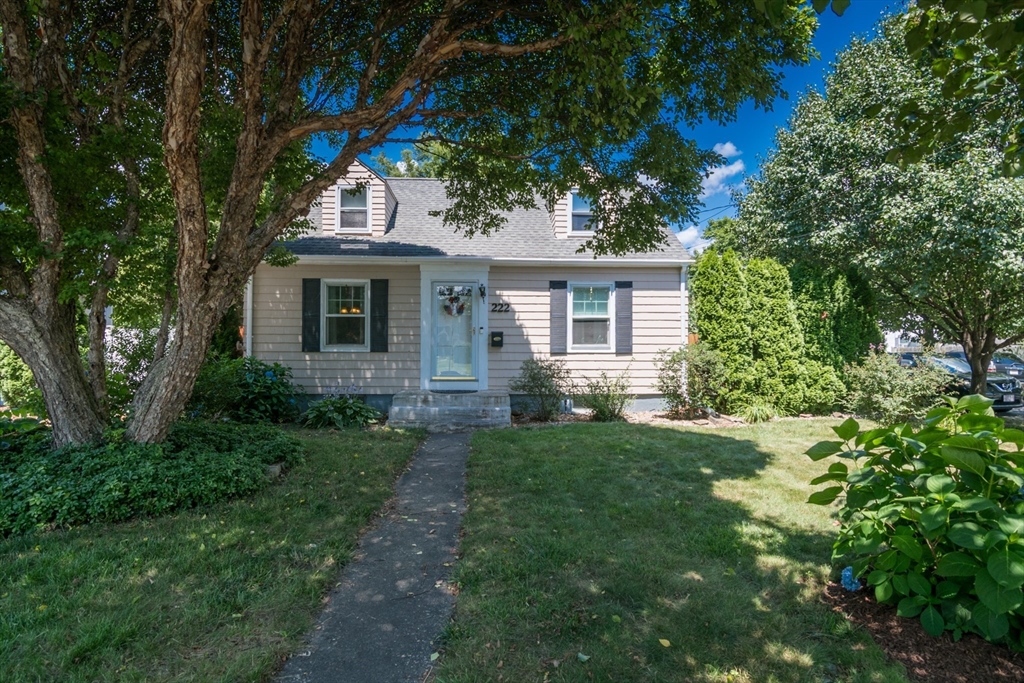 222 Plumtree Rd, Springfield, Massachusetts, 3 Bedrooms Bedrooms, 6 Rooms Rooms,1.5 BathroomsBathrooms,Residential,For Sale,Plumtree Rd,73508696