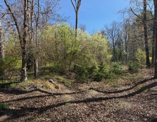 108 Bogan Rd, Monson, Massachusetts, ,Land,For Sale,Bogan Rd,73509356
