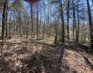Lot 43 South Village Rd, Tolland, Massachusetts, ,Land,For Sale,South Village Rd,73509314