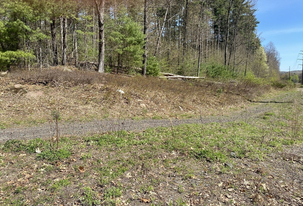 Lot 7, 199 Pequot St, Southampton, Massachusetts, ,Land,For Sale,Pequot St,73509313