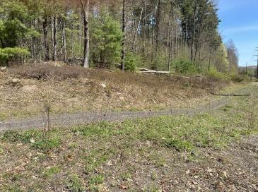 Lot 7, 199 Pequot St, Southampton, Massachusetts, ,Land,For Sale,Pequot St,73509313 Lot 7, 199 Pequot St, Southampton, Massachusetts, ,Land,For Sale,Pequot St,73509313
