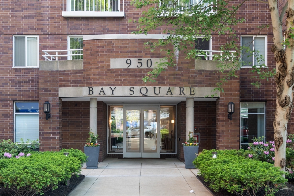 950 Massachusetts Ave, Cambridge, Massachusetts, 2 Bedrooms Bedrooms, 5 Rooms Rooms,2 BathroomsBathrooms,Residential Lease,For Rent,Massachusetts Ave,73510829
