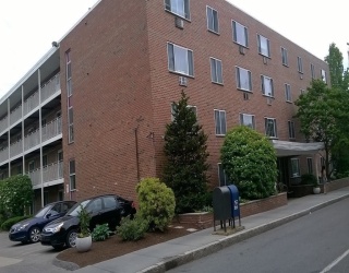 50 Green Street, Brookline, Massachusetts, 2 Bedrooms Bedrooms, 4 Rooms Rooms,2 BathroomsBathrooms,Residential Lease,For Rent,Green Street,73510992