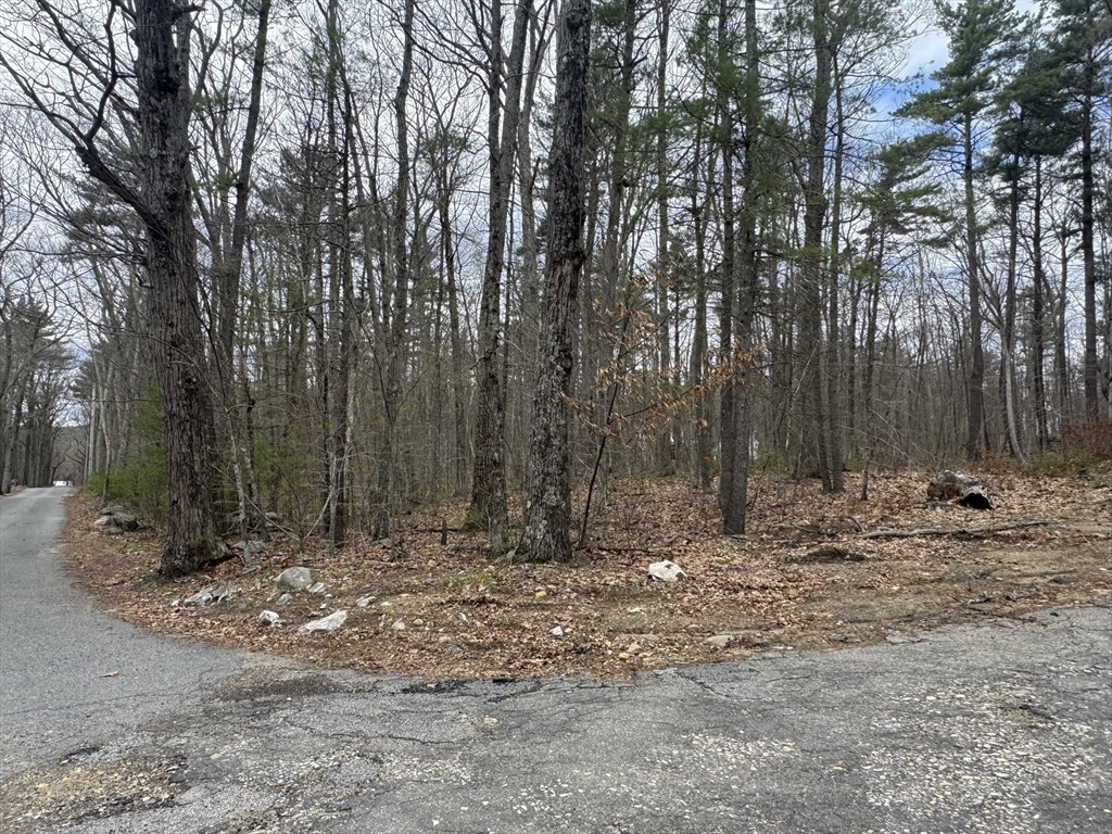 Lot 4 Murphy And Williamsville Roads, Barre, Massachusetts, ,Land,For Sale,Murphy And Williamsville Roads,73511071
