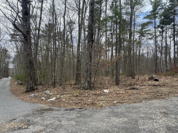 Lot 4 Murphy And Williamsville Roads, Barre, Massachusetts, ,Land,For Sale,Murphy And Williamsville Roads,73511071
