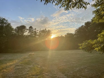 349 Old Fall River Rd, Dartmouth, Massachusetts, 1 Room Rooms,Residential,For Sale,Old Fall River Rd,73510941