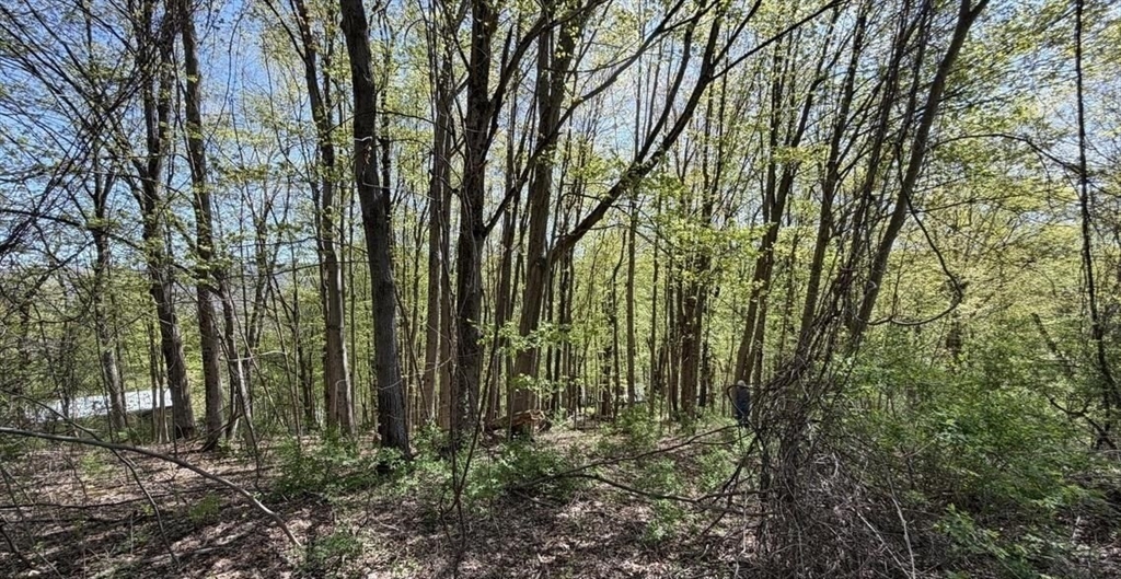 Lots 2A-3A Reservoir Road, North Adams, Massachusetts, ,Land,For Sale,Reservoir Road,73511188