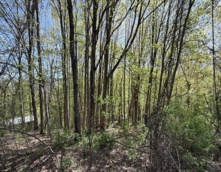 Lots 2A-3A Reservoir Road, North Adams, Massachusetts, ,Land,For Sale,Reservoir Road,73511188