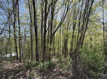 Lots 2A-3A Reservoir Road, North Adams, Massachusetts, ,Land,For Sale,Reservoir Road,73511188