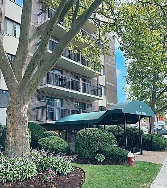 164 Galen Street, Watertown, Massachusetts, 2 Bedrooms Bedrooms, 4 Rooms Rooms,1 BathroomBathrooms,Residential,For Sale,Galen Street,73511319