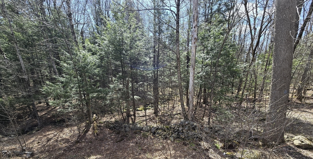 360 Jacob's Ladder Rd., Becket, Massachusetts, ,Land,For Sale,Jacob's Ladder Rd.,73511866