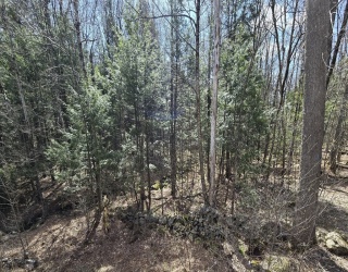 360 Jacob's Ladder Rd., Becket, Massachusetts, ,Land,For Sale,Jacob's Ladder Rd.,73511866