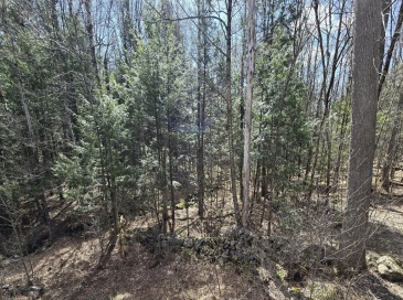 360 Jacob's Ladder Rd., Becket, Massachusetts, ,Land,For Sale,Jacob's Ladder Rd.,73511866 360 Jacob's Ladder Rd., Becket, Massachusetts, ,Land,For Sale,Jacob's Ladder Rd.,73511866