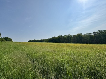 0 Hunt Road, Hawley, Massachusetts, ,Land,For Sale,Hunt Road,73456362