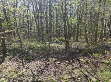 Lot 1 Winter St, Orange, Massachusetts, ,Land,For Sale,Winter St,73512415 Lot 1 Winter St, Orange, Massachusetts, ,Land,For Sale,Winter St,73512415