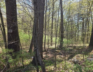 Lot 2 Beacon St, Orange, Massachusetts, ,Land,For Sale,Beacon St,73512416