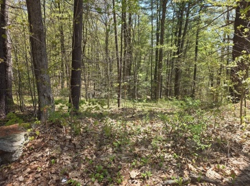 Lot 3 Beacon St, Orange, Massachusetts, ,Land,For Sale,Beacon St,73512417 Lot 3 Beacon St, Orange, Massachusetts, ,Land,For Sale,Beacon St,73512417