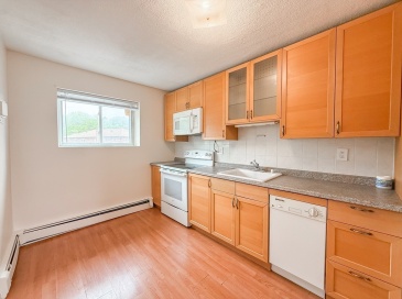 28 Westgate Rd, Boston, Massachusetts, 1 Bedroom Bedrooms, 3 Rooms Rooms,1 BathroomBathrooms,Residential Lease,For Rent,Westgate Rd,73512702