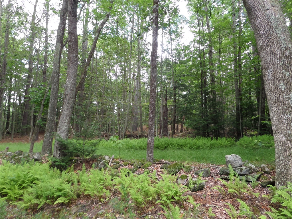 0 Pynchon Rd, Chesterfield, Massachusetts, ,Land,For Sale,Pynchon Rd,73512590