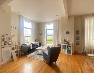 2 Rollins St, Boston, Massachusetts, 1 Bedroom Bedrooms, 3 Rooms Rooms,2 BathroomsBathrooms,Residential Lease,For Rent,Rollins St,73512675