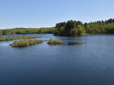 109 Rocky Pond Rd, Boylston, Massachusetts, 1 Bedroom Bedrooms, 3 Rooms Rooms,1 BathroomBathrooms,Residential,For Sale,Rocky Pond Rd,73488498