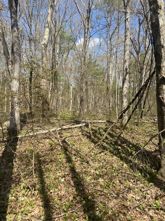 395 Belchertown Rd, Ware, Massachusetts, ,Land,For Sale,Belchertown Rd,73512956