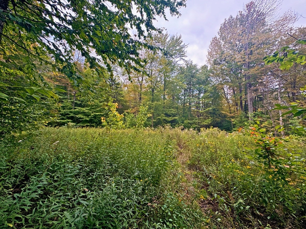 60 Stone Hill Road, Rowe, Massachusetts, ,Land,For Sale,Stone Hill Road,73513357