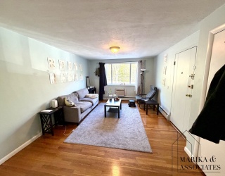 205 Kent Street, Brookline, Massachusetts, 2 Bedrooms Bedrooms, 5 Rooms Rooms,1 BathroomBathrooms,Residential Lease,For Rent,Kent Street,73513235