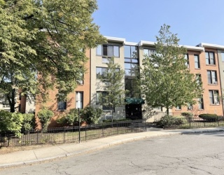 8 Juniper St, Brookline, Massachusetts, 3 Bedrooms Bedrooms, 6 Rooms Rooms,1 BathroomBathrooms,Residential Lease,For Rent,Juniper St,73513921