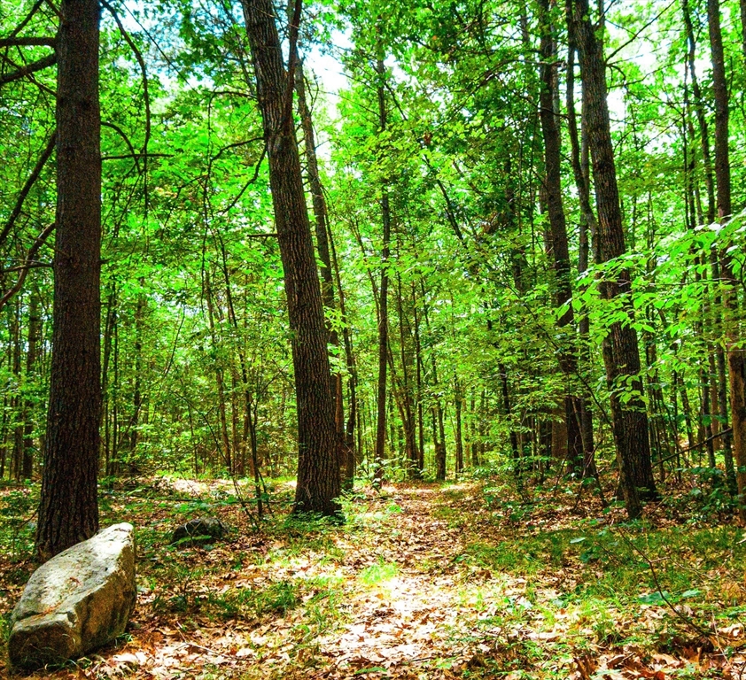 0 N King St, Northampton, Massachusetts, ,Land,For Sale,N King St,73514388