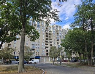 44 Washington St, Brookline, Massachusetts, 2 Rooms Rooms,1 BathroomBathrooms,Residential Lease,For Rent,Washington St,73515276