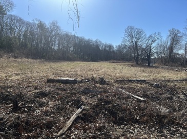 6 Sabin St, Belchertown, Massachusetts, ,Land,For Sale,Sabin St,73499384