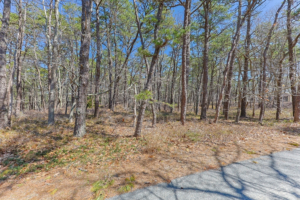 175 Delphi Path, Wellfleet, Massachusetts, ,Land,For Sale,Delphi Path,73515383