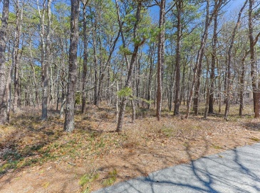 175 Delphi Path, Wellfleet, Massachusetts, ,Land,For Sale,Delphi Path,73515383