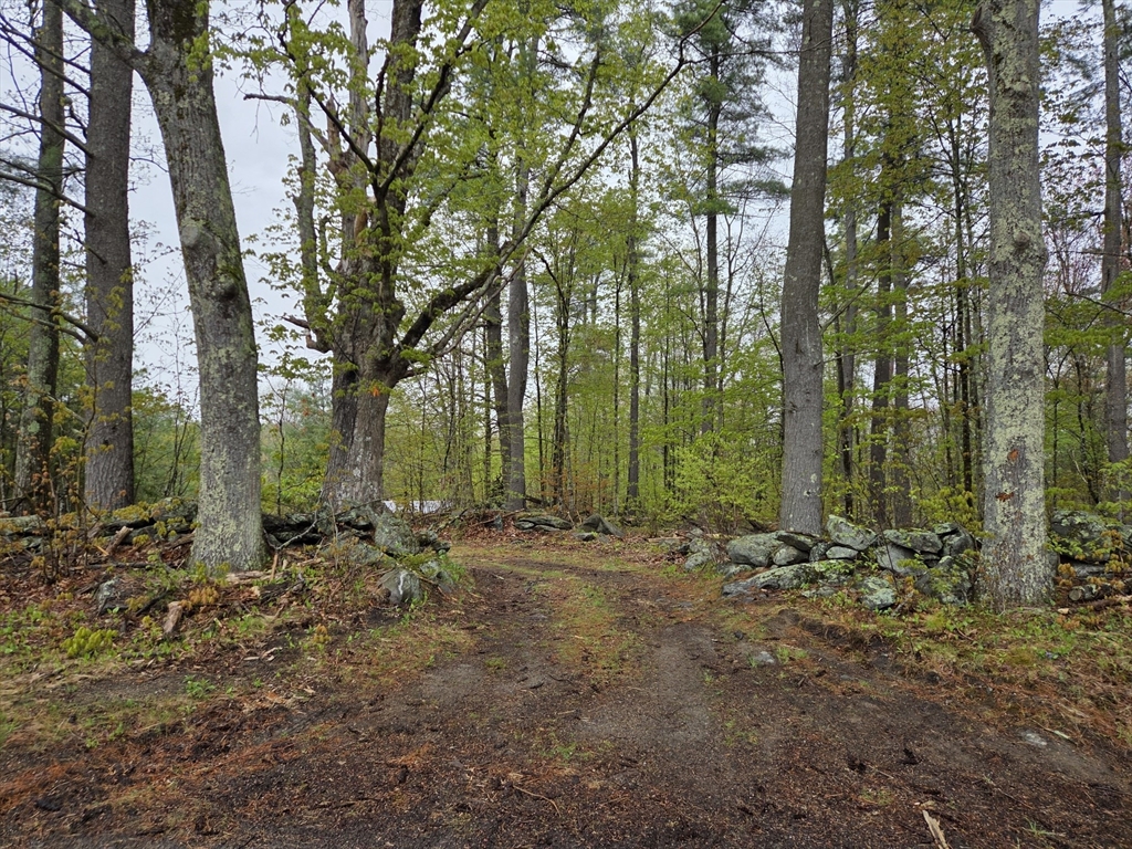 Lot 3F Petersham Road, Phillipston, Massachusetts, ,Land,For Sale,Petersham Road,73515493