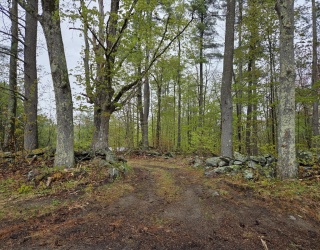 Lot 3F Petersham Road, Phillipston, Massachusetts, ,Land,For Sale,Petersham Road,73515493