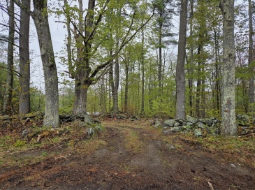 Lot 3F Petersham Road, Phillipston, Massachusetts, ,Land,For Sale,Petersham Road,73515493