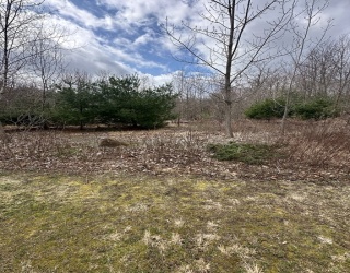 49 Newport, Attleboro, Massachusetts, ,Land,For Sale,Newport,73515614