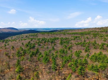 0 Dry Hill Road, Montague, Massachusetts, ,Land,For Sale,Dry Hill Road,73515700
