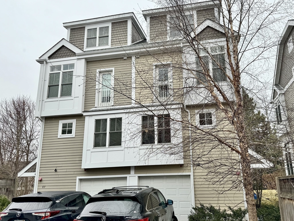 105 Harvey St, Cambridge, Massachusetts, 3 Bedrooms Bedrooms, 6 Rooms Rooms,2.5 BathroomsBathrooms,Residential Lease,For Rent,Harvey St,73515864