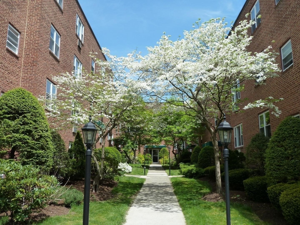 65 Colborne Rd, Boston, Massachusetts, 2 Bedrooms Bedrooms, 5 Rooms Rooms,1 BathroomBathrooms,Residential Lease,For Rent,Colborne Rd,73515888