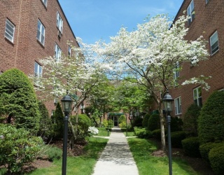 65 Colborne Rd, Boston, Massachusetts, 2 Bedrooms Bedrooms, 5 Rooms Rooms,1 BathroomBathrooms,Residential Lease,For Rent,Colborne Rd,73515888
