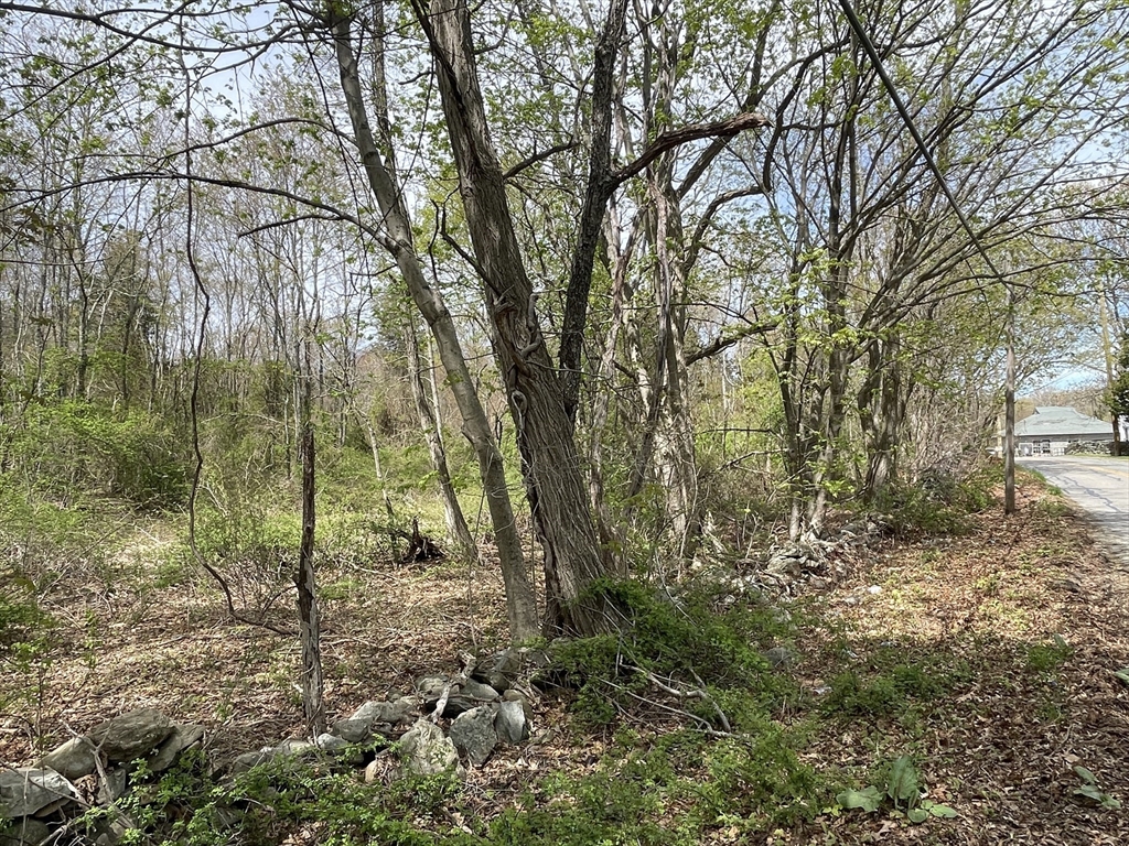 2729/2734 Elm Street, Dighton, Massachusetts, ,Land,For Sale,Elm Street,73516271