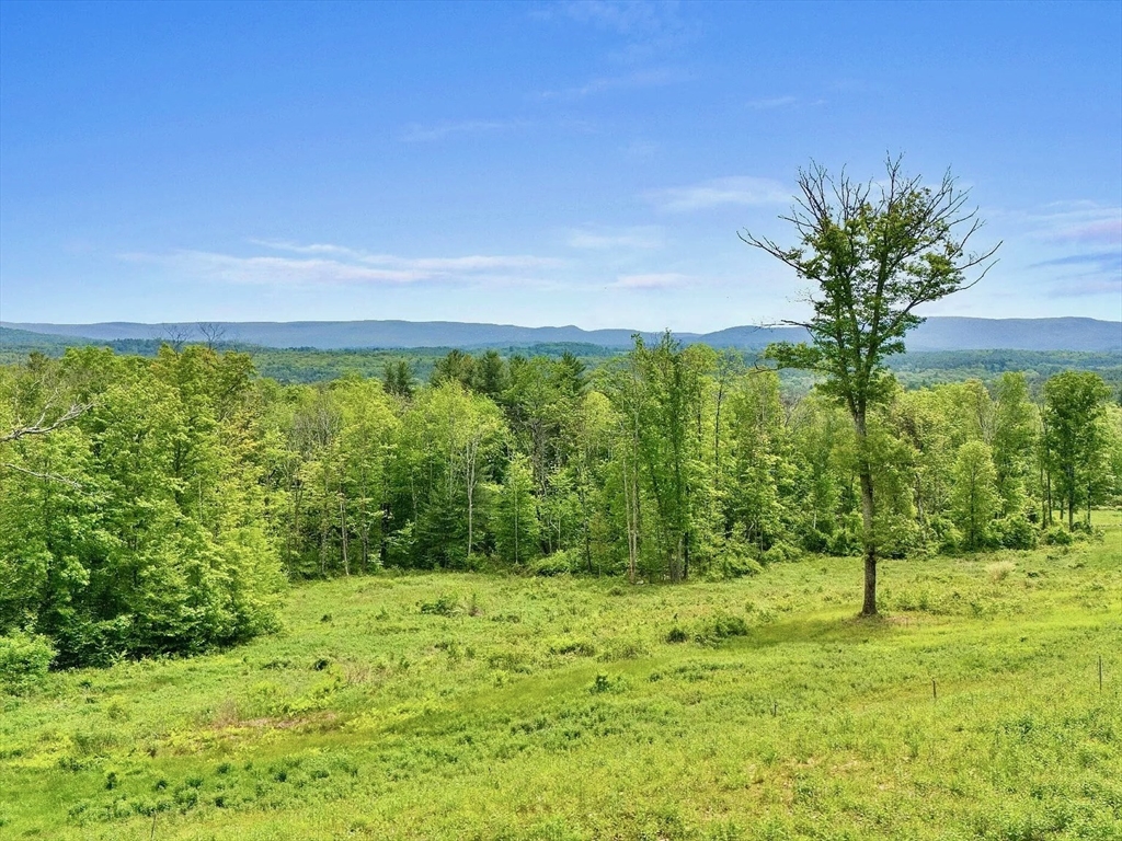 59 Whites Hill Rd, Egremont, Massachusetts, ,Land,For Sale,Whites Hill Rd,73517013