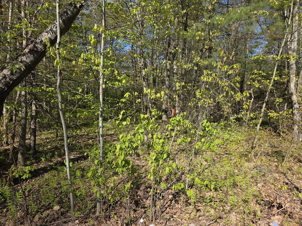 lot 14 West St, Ludlow, Massachusetts, ,Land,For Sale,West St,73517168
